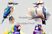 Australian Native Birds Clipart, an Animal Illustration by Pawcasso's Portraits (Thumbnail 6 of 7)