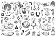 Hand drawn vegetables and fruit, a Decorative Illustration by Ulafant (Thumbnail 17 of 25)