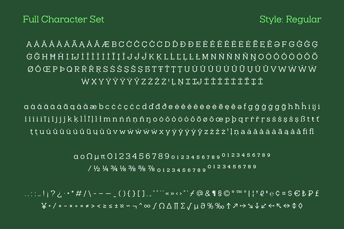 Slaab Font Family 45 Styles, a Slab Serif Font by That That Creative (Photo 9 of 13)