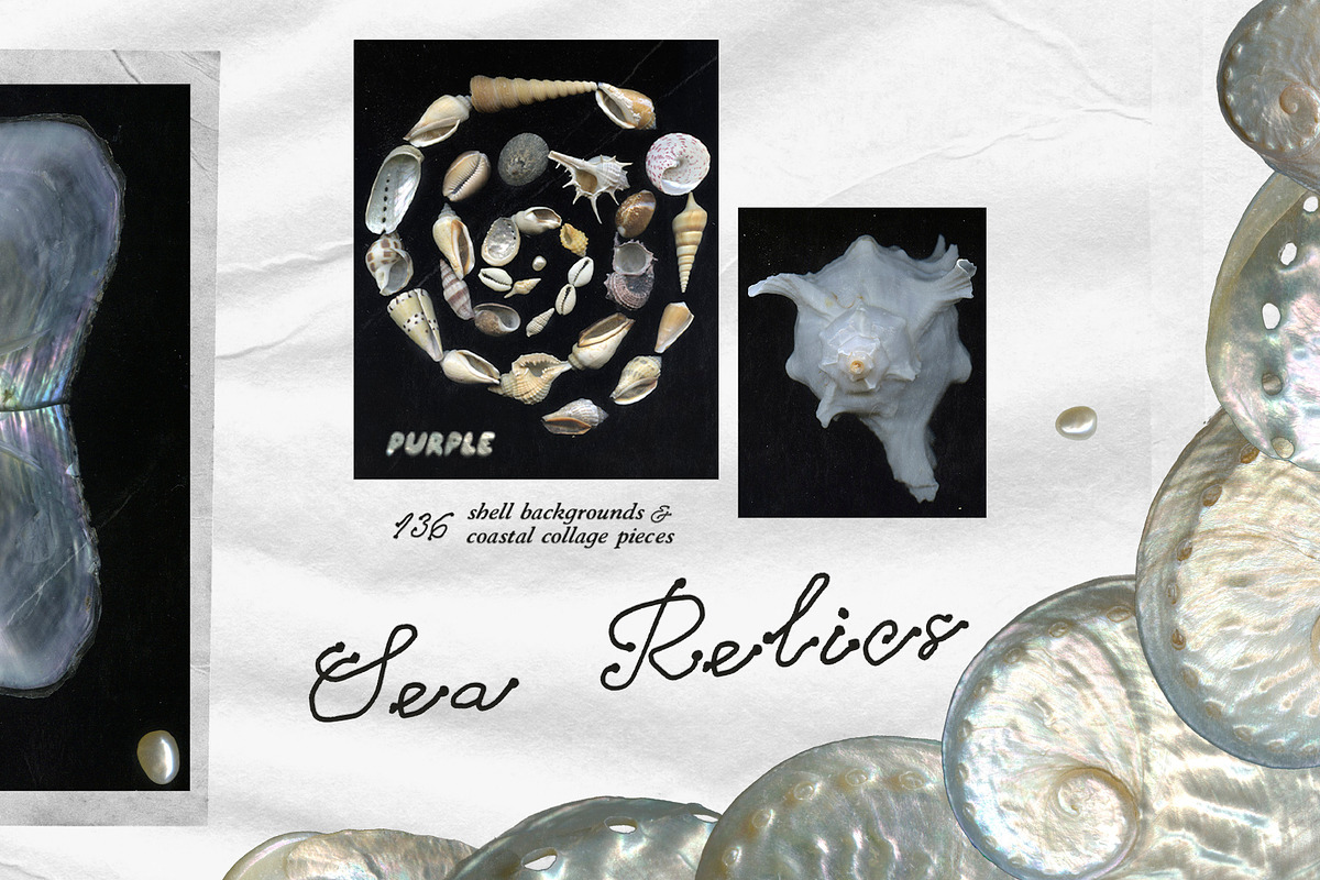 Sea Relics: Objects & Backgrounds, an Object Graphic by Purple (Photo 5 of 14)
