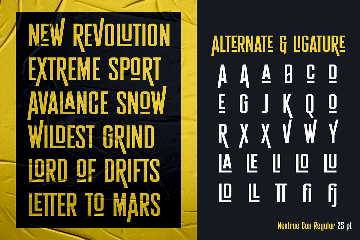 Nextrue Fonts Family, a Sans Serif Font by Asenbayu (Photo 11 of 15)