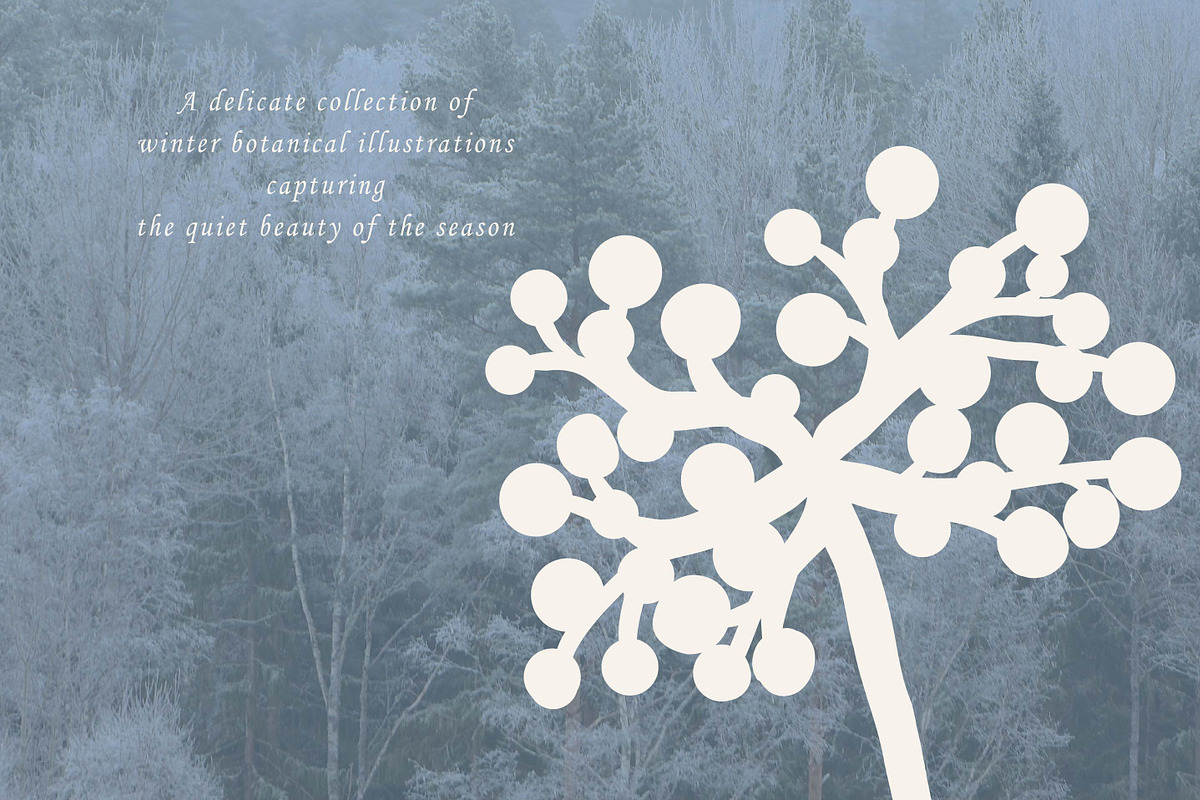 Winter Botanicals Clipart, a Seasonal Illustration by RaDavCrafts (Photo 3 of 12)