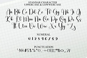 Valentine Soul, a Handwritten Font by FreshTypeINK (Thumbnail 3 of 8)