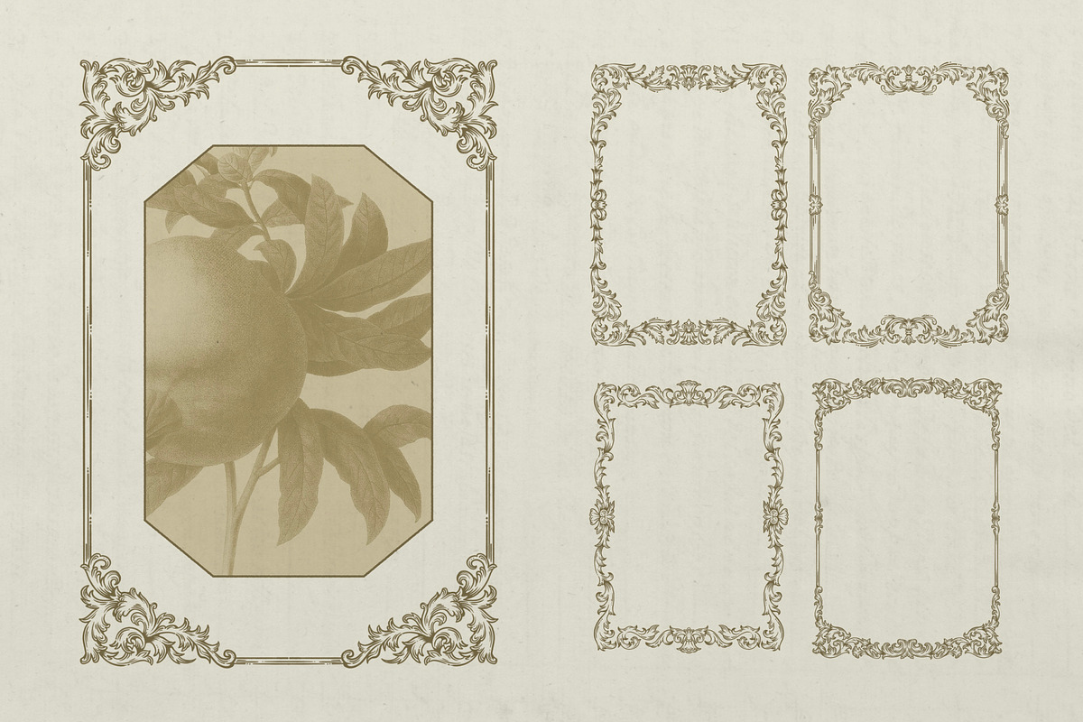 OrnamentalGarden  Frames&Ornaments, a Decorative Illustration by heyXeni (Photo 8 of 11)