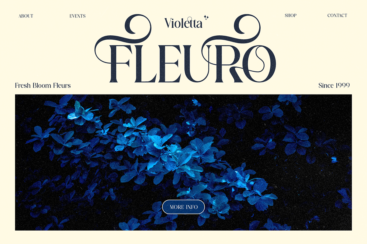 Roses Smyth Elegant Font, a Serif Font by Haps Space (Photo 5 of 15)