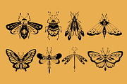 Insects. Graphic clipart + patterns., a Wallpaper Graphic by heyXeni (Thumbnail 4 of 5)