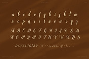 Nestin Elegant Script Font, a Script Font by Graphicxell (Thumbnail 7 of 8)