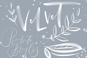 VELVET. LETTERING procreate BRUSHES.