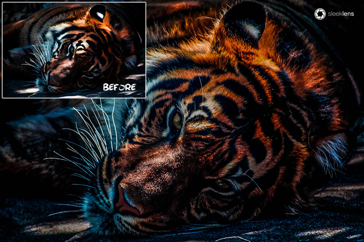 HDR Visions Lightroom Presets Bundle, an Action Add-On by Sleeklens (Photo 2 of 5)