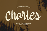 Brientsa Classic Script, a Handwritten Font by Portocraft (Thumbnail 4 of 10)