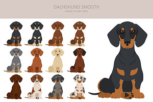 Dachshund Smooth Clipart