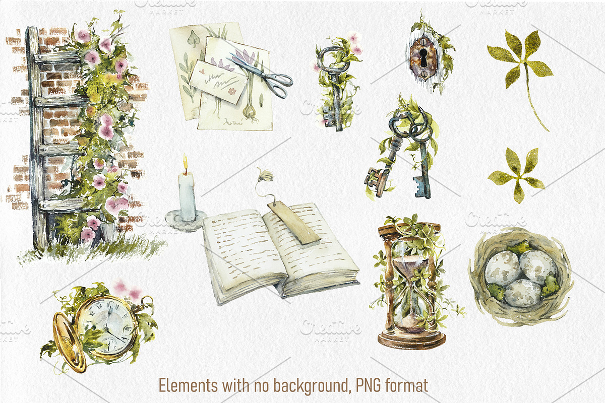 Vintage Garden Collection, an Illustration by Budogoshch (Photo 4 of 9)