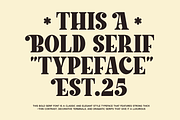Lacer - Serif Bold Typeface, a Serif Font by MaikoHatta (Thumbnail 6 of 11)