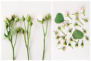 Creative floral flat lays bundle, a Print Template by Kolomiyets Viktoriya (Thumbnail 5 of 5)