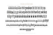 Bonnie Script, a Script Font by Type and Graphics Studio (Thumbnail 7 of 9)