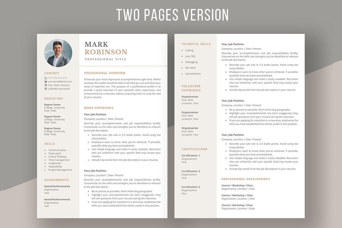 Professional CV template/ resume, a Resume Template by aivos (Photo 3 of 7)