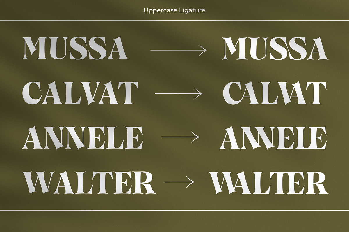 Callgest Display Font - 3 Styles, a Serif Font by Martype Co (Photo 9 of 14)