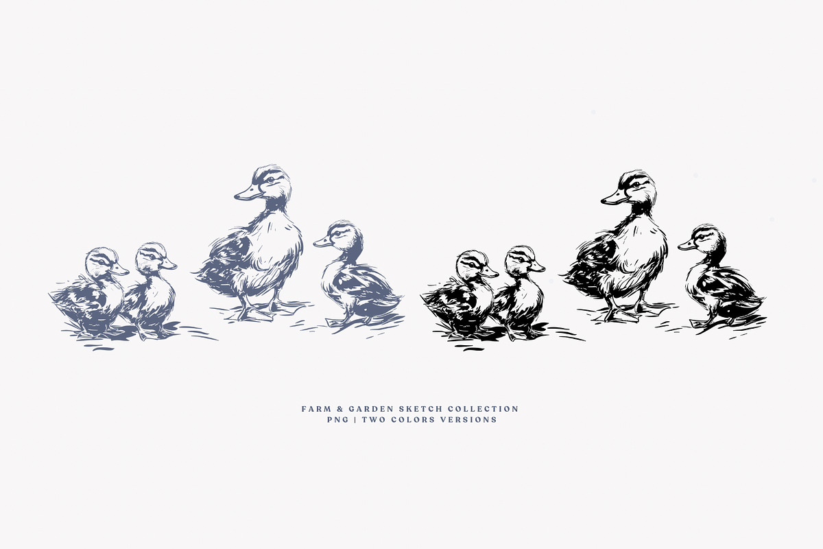 vintage clipart farm animals set, a Decorative Illustration by Patishop Art (Photo 3 of 10)