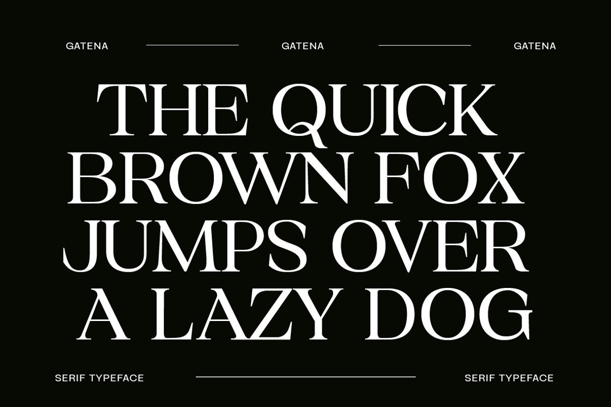 Gatena Serif Modern, a Serif Font by Yukita Creative (Photo 4 of 10)