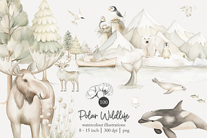 100 polar animal clip art, an Animal Illustration by Poppy Lane Studio