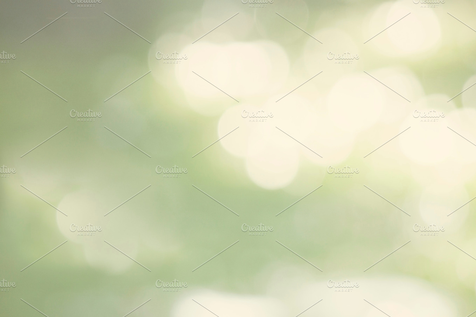 Soft green bokeh