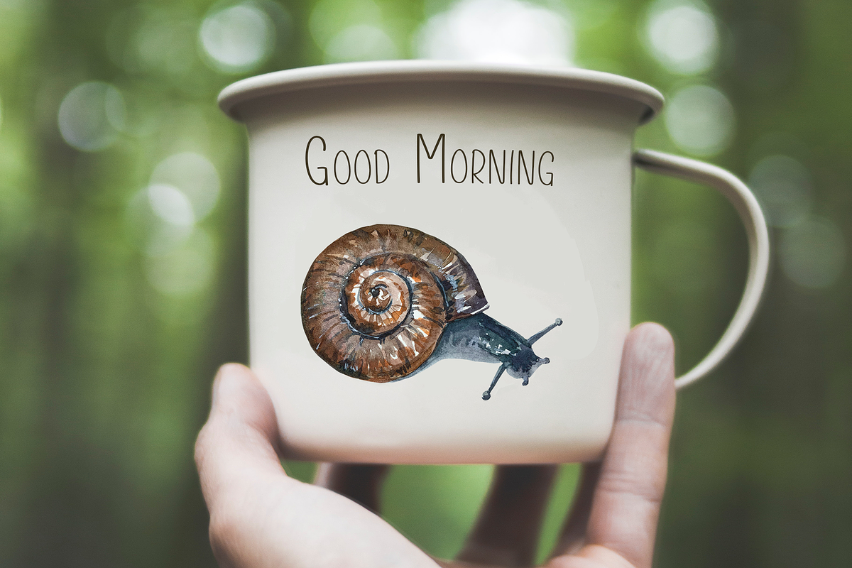 Snails Life Cycle Clip Arts & Print, an Animal Illustration by Tati Bordiu (Photo 4 of 4)