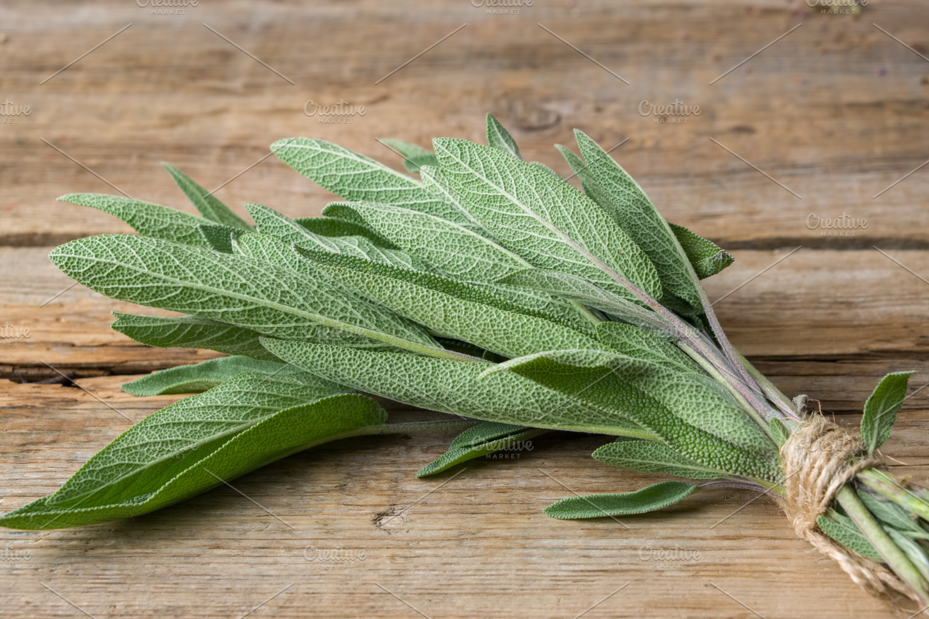 Fresh green sage bunch closeup., a Health & Medical Photo by chamillewhite