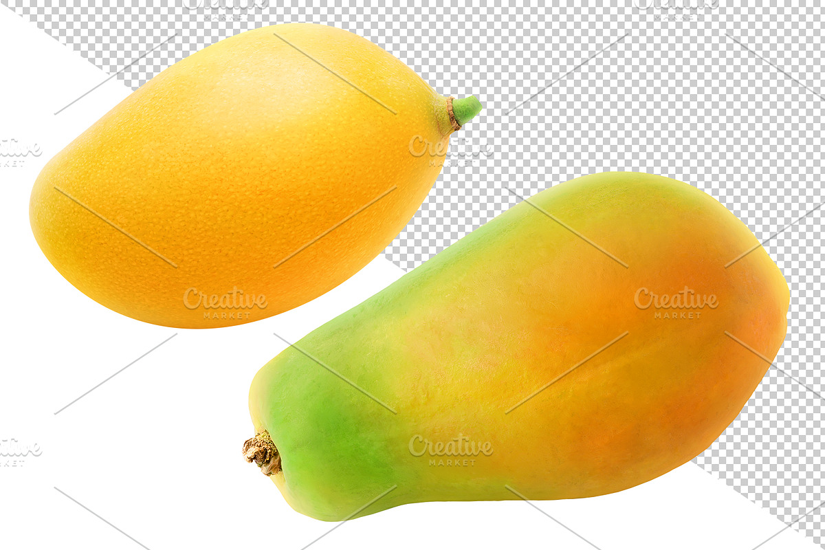 Tropical fruits, an Object Graphic by Fruits+Veggies (Photo 3 of 7)