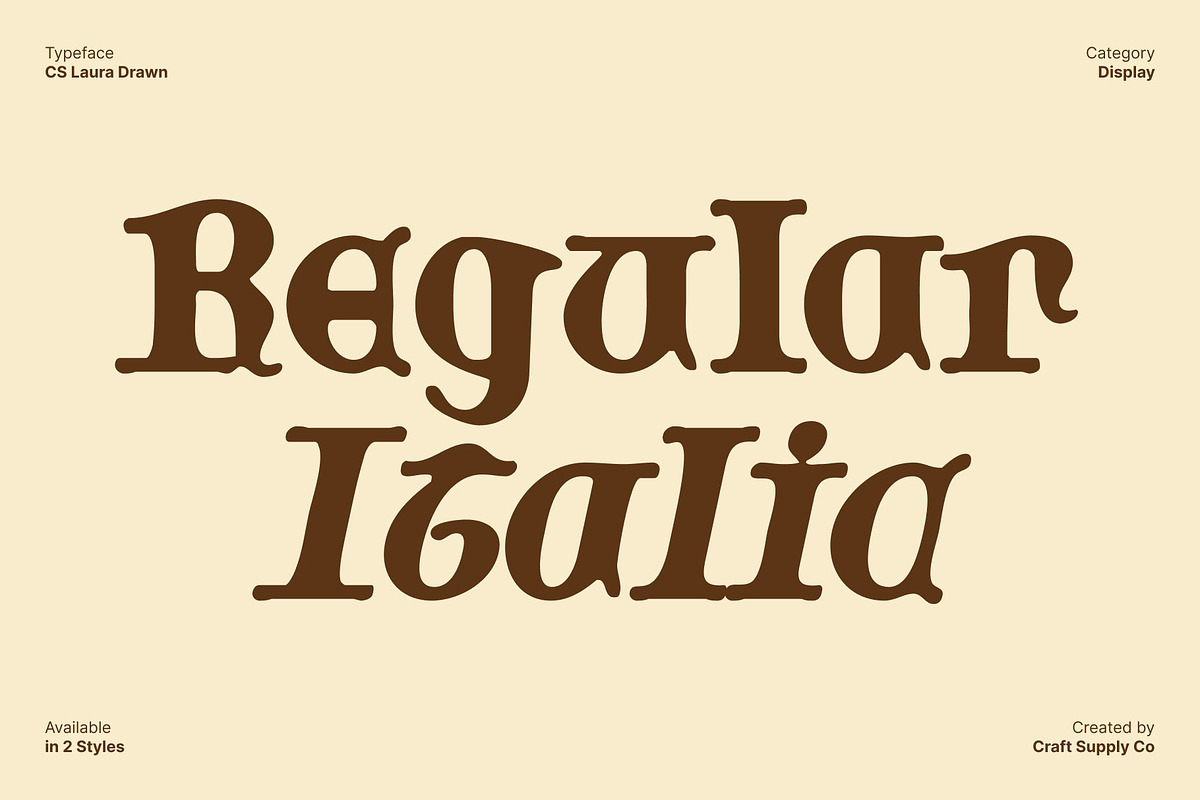 CS Laura Drawn, a Serif Font by Craft Supply Co. (Photo 3 of 8)