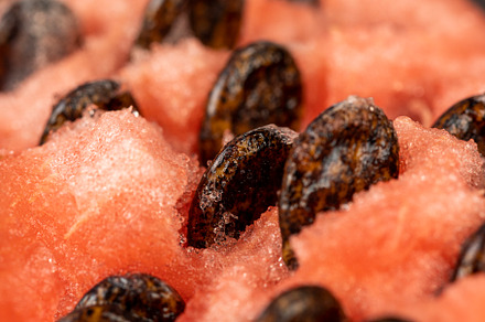 delicious ripe watermelon with large seeds, a Photo by MyPhotos