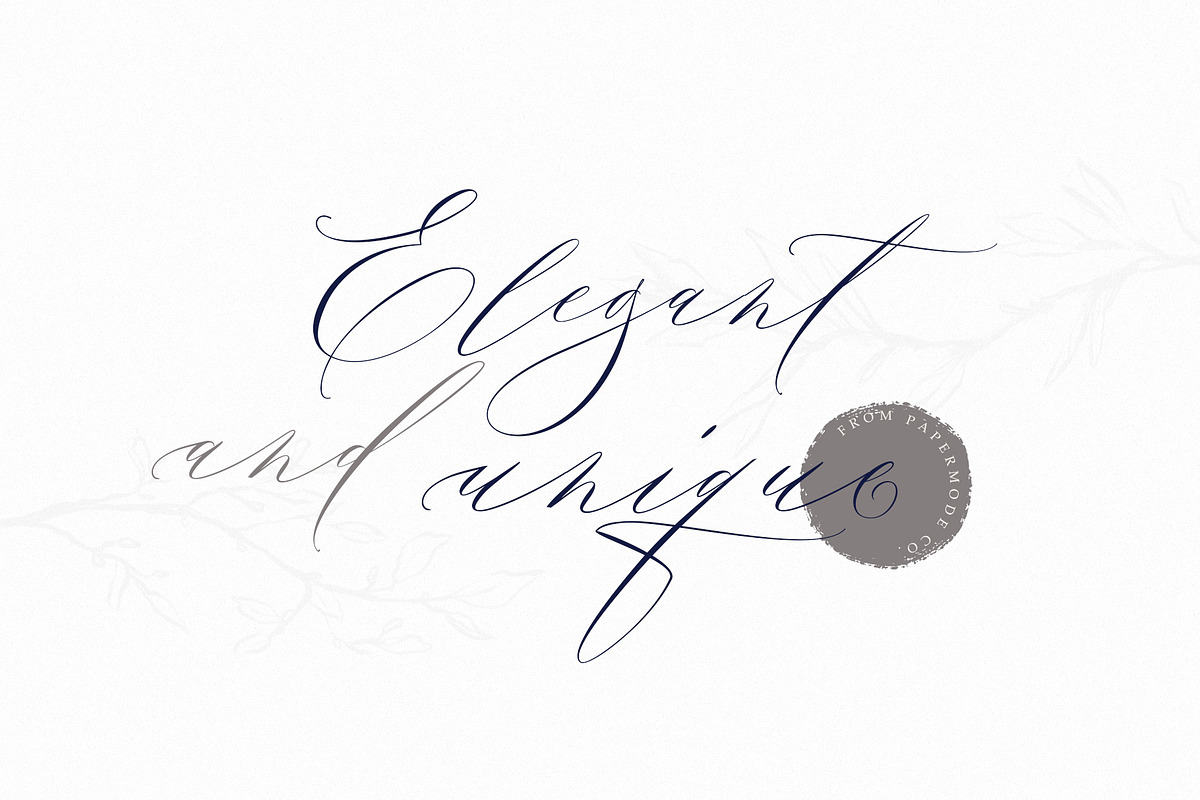 Seila, a Script Font by Papermode Co. (Photo 2 of 12)