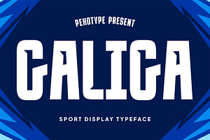 Galiga - Sans Serif Sport Typeface, a Sans Serif Font by Pekotype