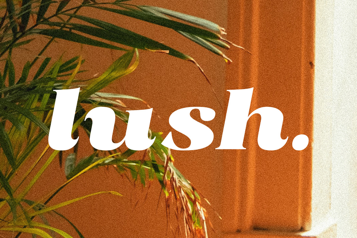 Radiant Charisma - Serif Family, a Serif Font by Prioritype Co (Photo 9 of 10)