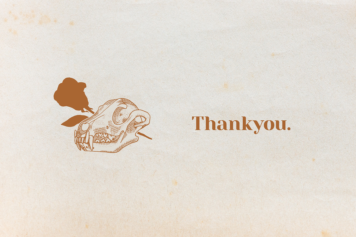 Logos & Lines | Until Nevermore, a Branding & Logo Template by Galaxybomb (Photo 14 of 14)