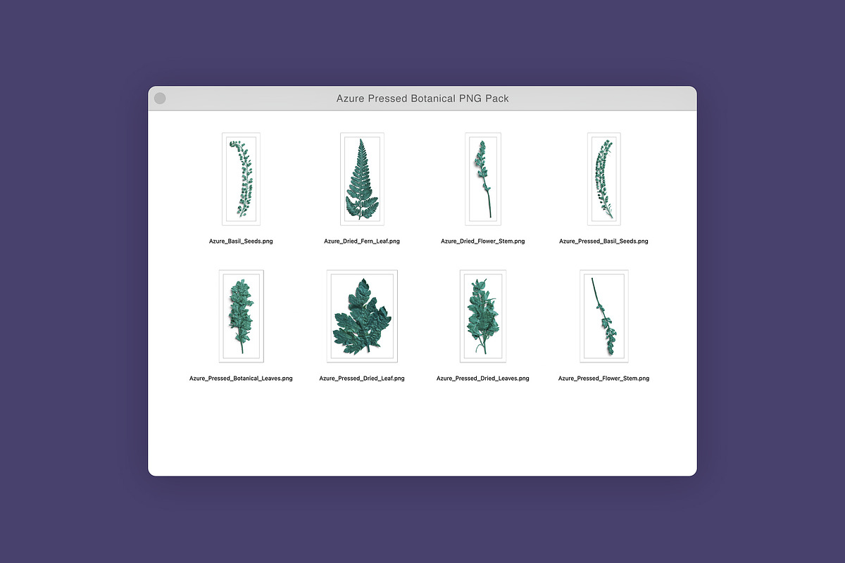 Azure Pressed Botanical PNG Pack, an Object Graphic by Custom Scene (Photo 3 of 8)