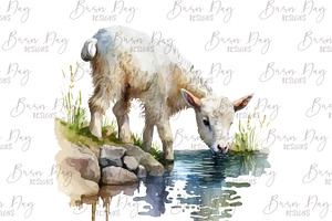 Watercolor Baby Goat Clipart Bundle