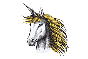 Unicorn Horse Sketch Of Fairy Or Heraldic Animal