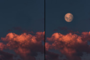 Cosmic Photoshop Brush Bundle, a Brush Add-On by Dene Studios (Thumbnail 32 of 32)