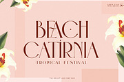 The Bright Lake Font Duo + Logos, a Serif Font by SNIPESCIENTIST (Thumbnail 12 of 31)