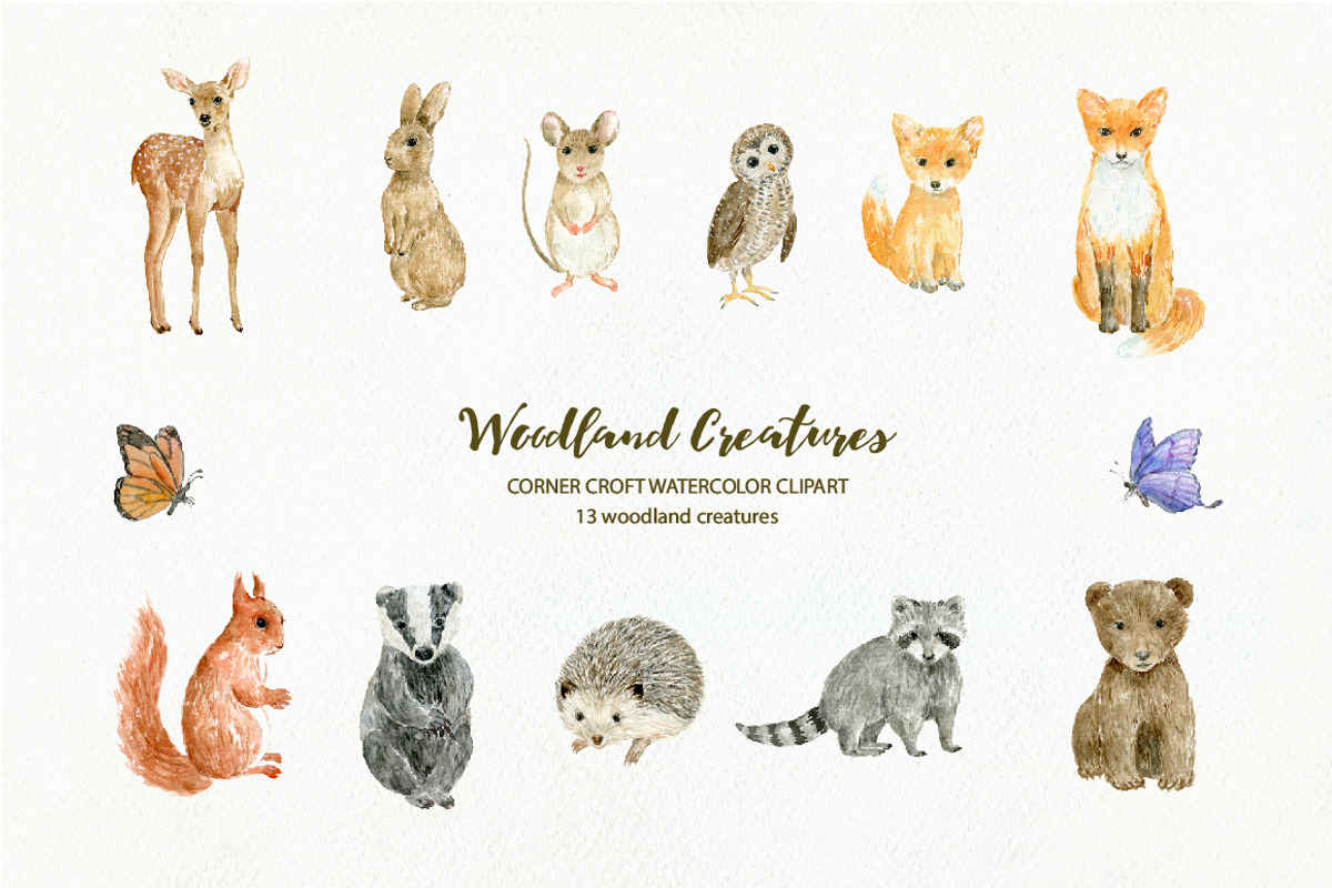 Woodland Animals Watercolor Clipart, an Animal Illustration by Corner Croft (Photo 2 of 7)