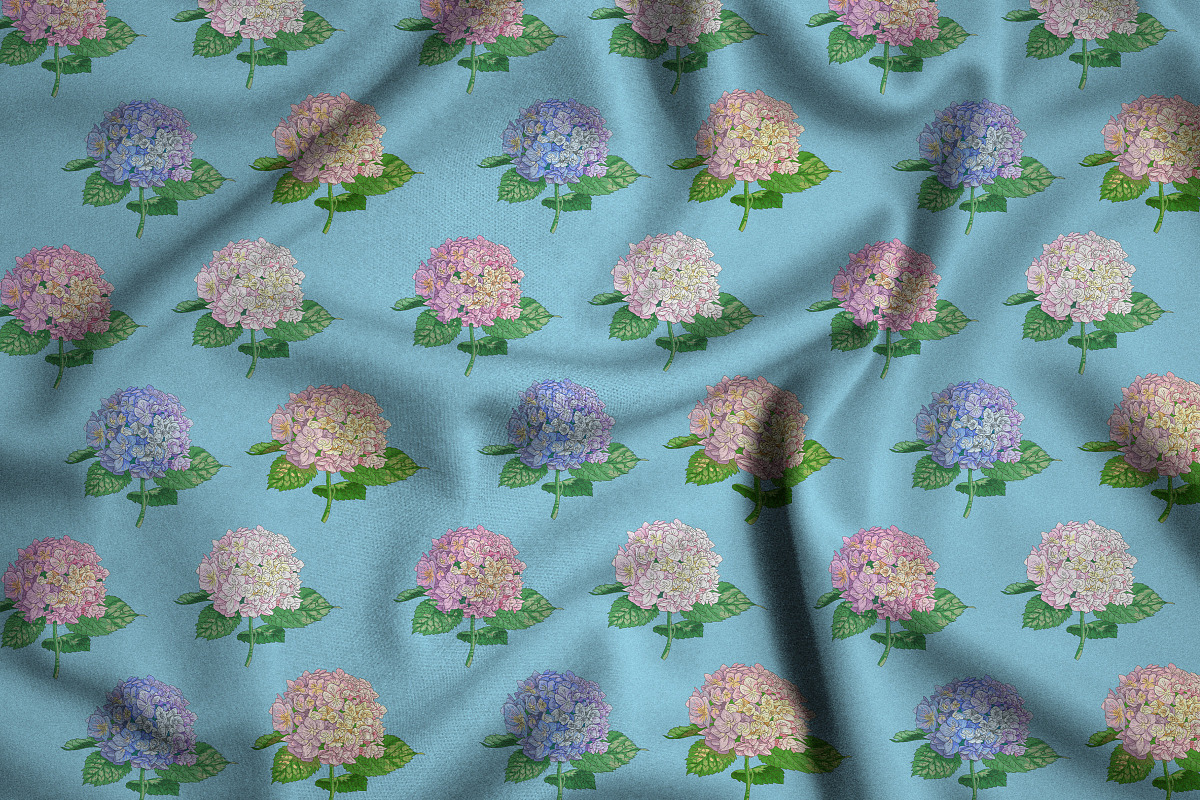 Hydrangea illustration pack, a Decorative Illustration by Schumacher Shop (Photo 3 of 6)