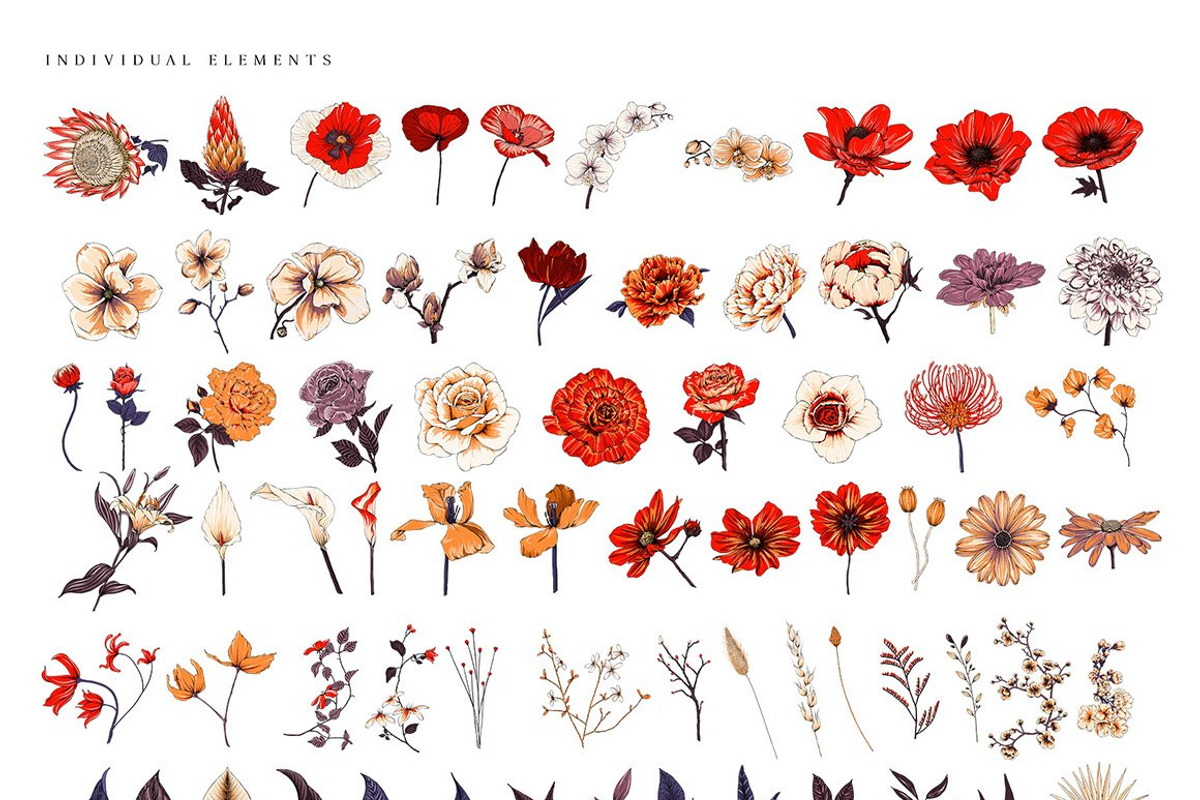 Ultimate Flower & Leaf Collection, an Object Graphic by Pretty Little Lines (Photo 9 of 47)