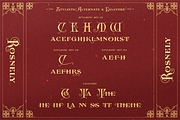 AM Rosnely (Disc 20%), a Serif Font by Akarmati (Thumbnail 3 of 10)