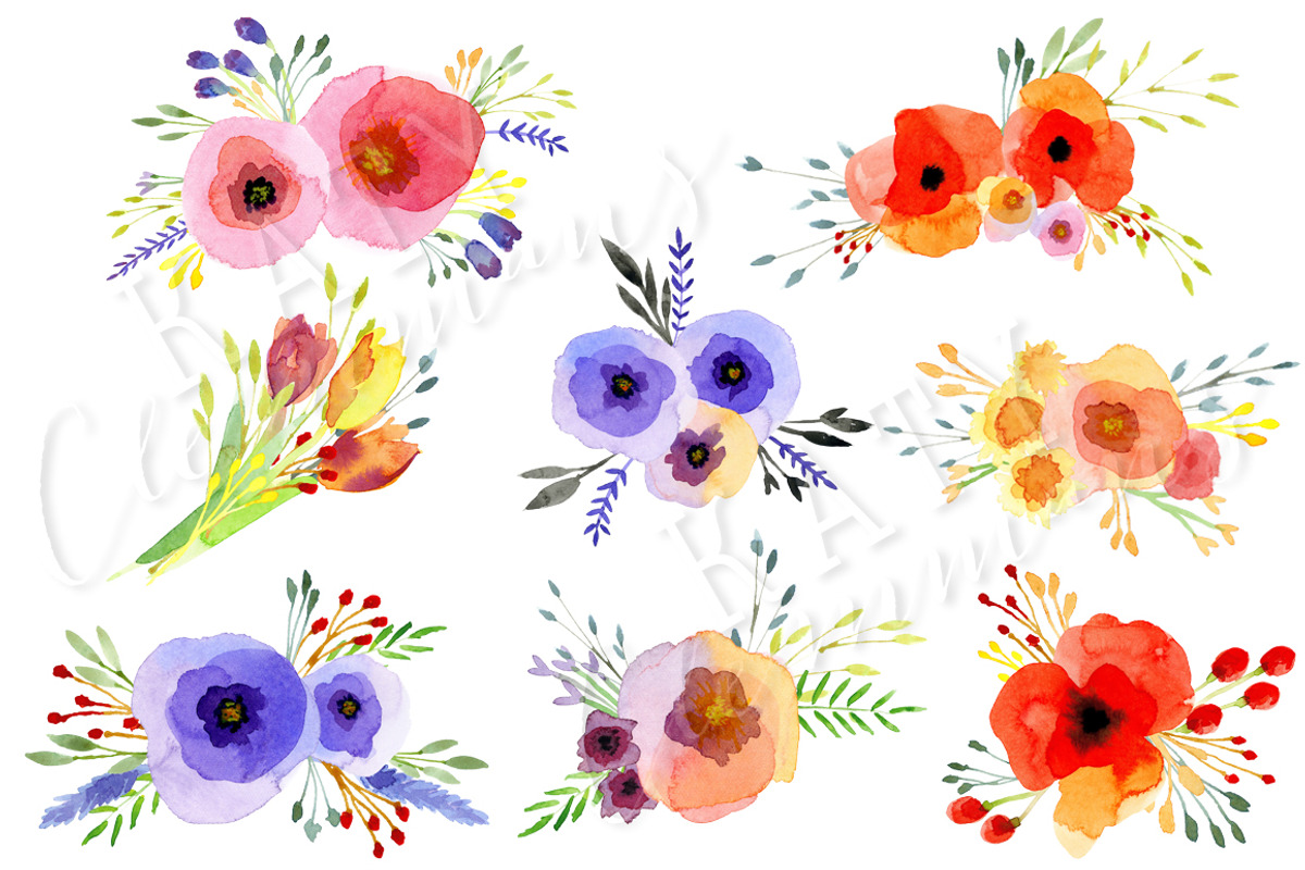 Watercolour Wildflowers clip art, an Illustration by Katy Clemmans (Photo 3 of 5)