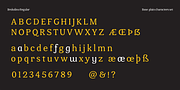 Brokolino Text, a Slab Serif Font by Aspro Type (Thumbnail 3 of 14)