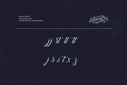Alevattros Script for Tattoo Logo, a Script Font by ilhamtaro (Thumbnail 11 of 12)