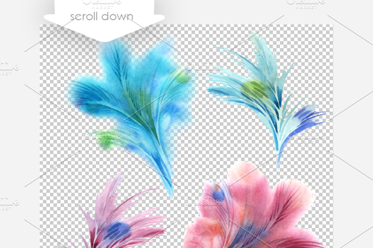 Watercolor Swirl Elements, a Decorative Illustration by Marina Grau (Photo 2 of 3)