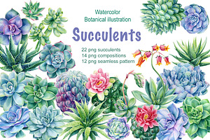 Succulents Botanical Watercolor