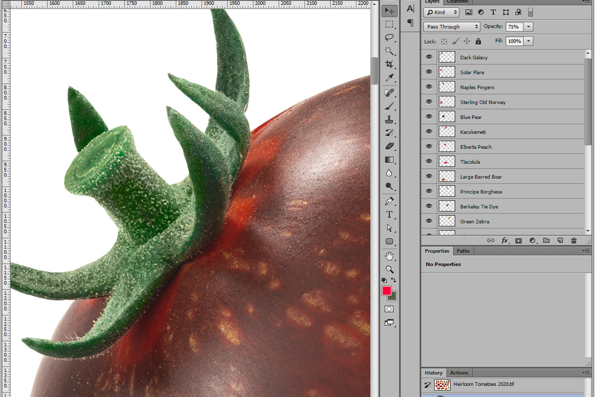 Heirloom tomatoes, an Object Graphic by Hortimages (Photo 2 of 2)