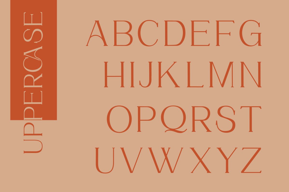 Chrysalara Serif Typeface, a Serif Font by zerologicstudio (Photo 10 of 11)